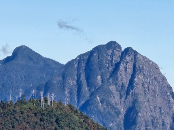 大雪山國家森林遊樂區賞楓／看神木／賞雪白山頭／賞大景2974283