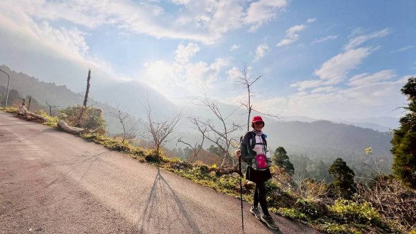 🌈1/18（日）忘憂森林×金柑樹山×溪頭天文台✨FB：熊熊趴爬走🌈2983959