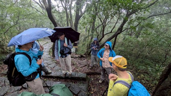 114.11.01旅聯網21週年活動之七星山-七星山東峰-七星公園-夢幻湖2928910