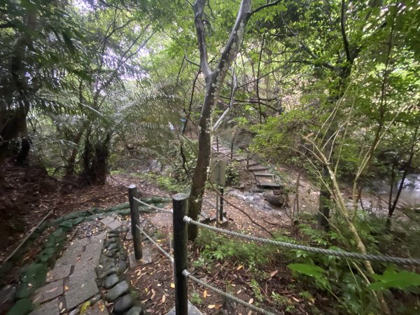 20250705-Ep.03六寮古道-2025森遊竹縣皮皮獅探險隊2851471