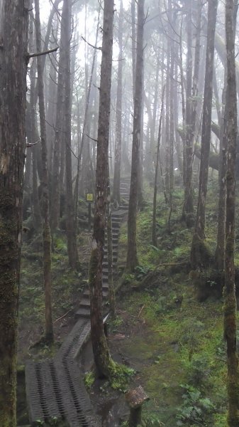 藏身於雲霧中的湖泊~翠峰湖467012