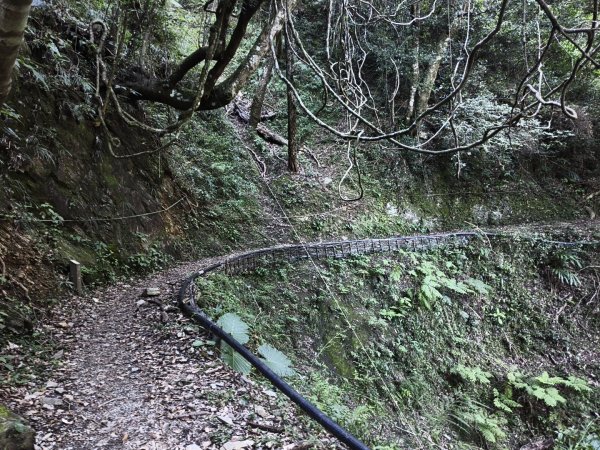 [玉山尋寶任務-07/12] 2025_0824 八通關雲龍瀑布步道2870547