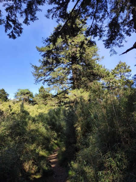 北一段(03/14)多加屯山 2025_0906~132885264