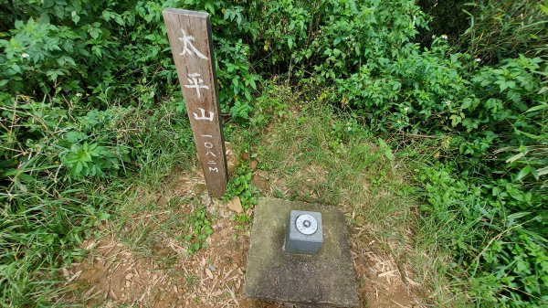 雲嘉九連峰1438965