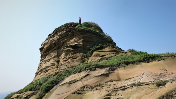 海天一色百合花開的欄杆外鼻頭角1670920