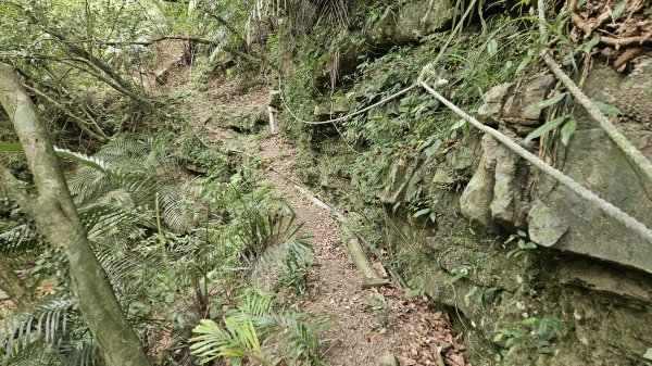 20250625遠望坑口-遠望坑崙-176峰-陸軍路礦864-遠望坑山O型2826163