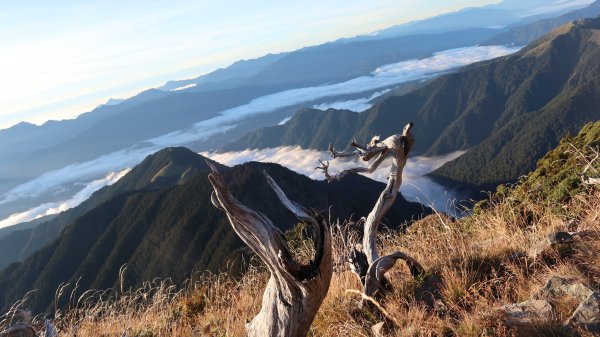 雪山主東峰登山健行趣(百岳02號＆74號)1882729