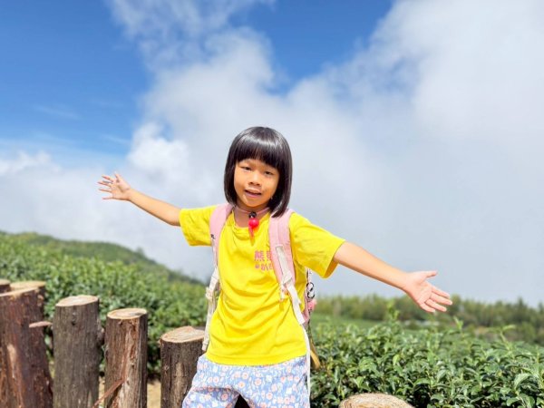 🌈17（日）雲嶺之丘+五元二角+木馬古道✨FB：熊熊趴爬走🌈2861692