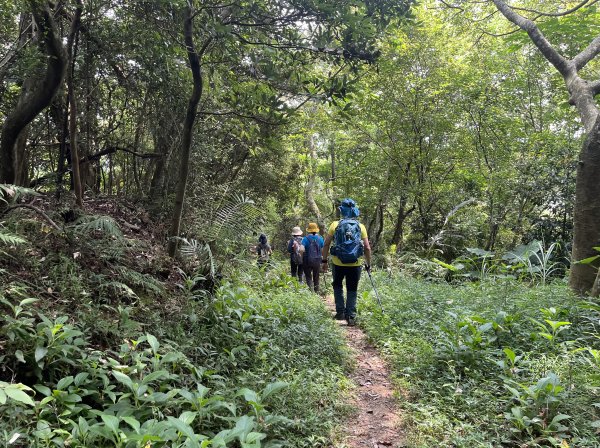 [皮皮獅Hike客任務-02/10] 2024_0720 渡南古道+飛鳳古道2557085