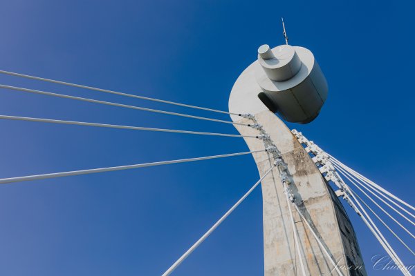 高雄崗山之眼2698595