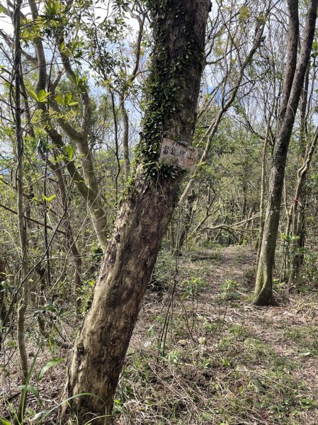 鱷魚頭景觀步道2729209