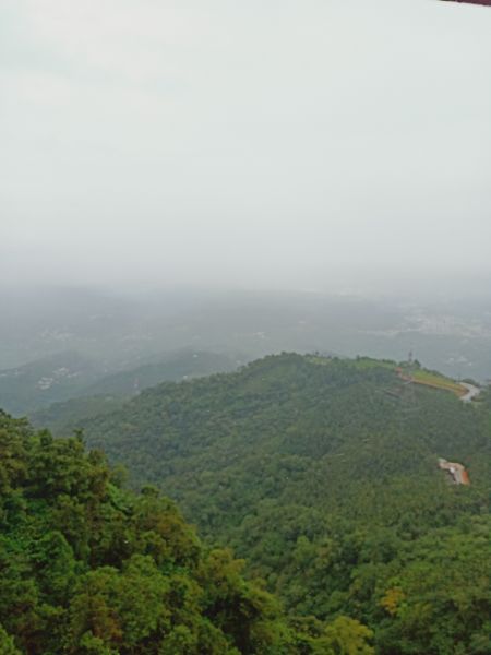 太平雲梯吊橋步道397172