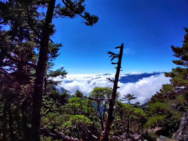 20221028溪頭山關山嶺山O繞    有夠美的啦🥰！1890170