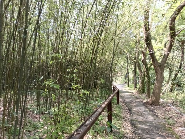 五指山古道+友蚋山南峰2757048