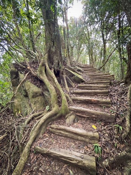 馬那邦山的雲海季2650896