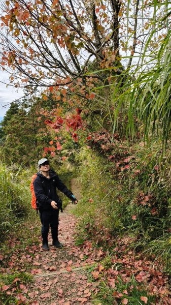 神阿縱走~台灣難抵極~大塔山2971503