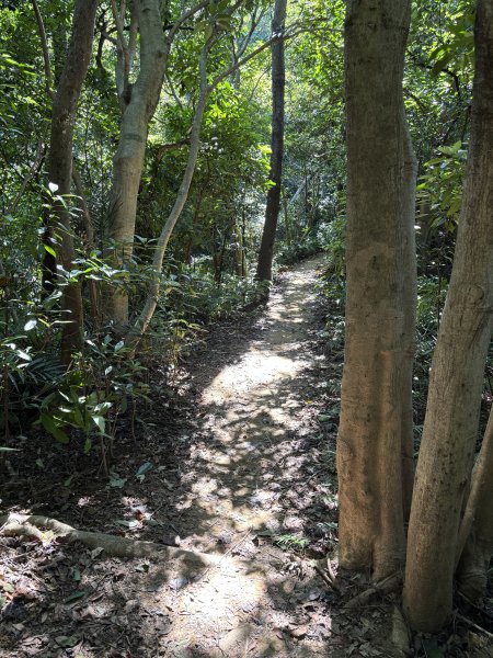 小百岳 - 鳶山3132620