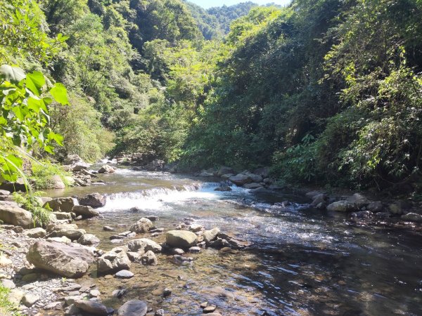 九寮溪自然步道2867202