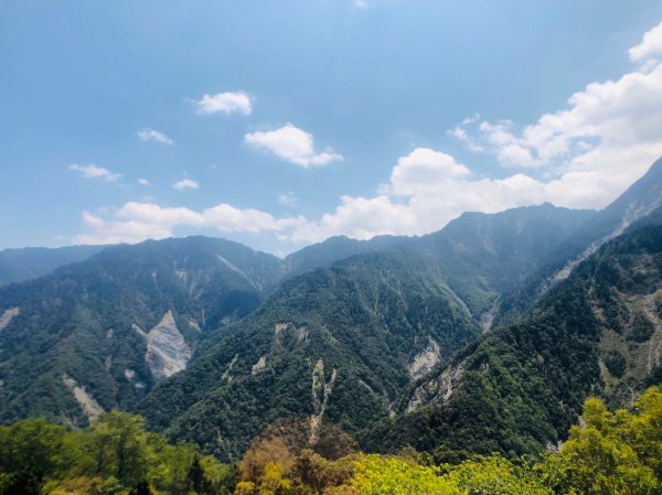 1090413中之關天池-初嚐梅子雞940956