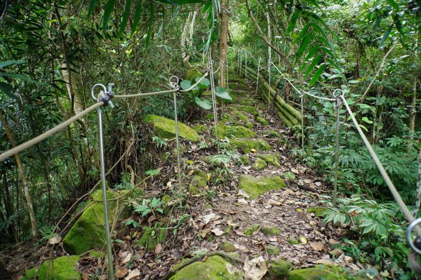 台中 和平 埋伏坪山2924974