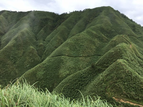 宜蘭聖母山莊步道(抹茶山)1079011