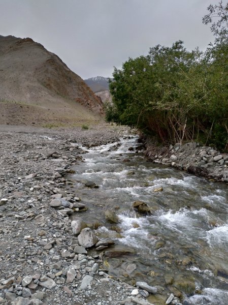 Markha Valley-India1001936