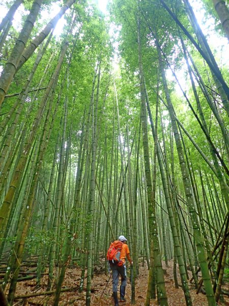 大雪山大崠山避暑趣2019/7/21634435