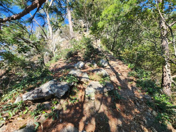 20241013東南稜上東卯山2670981