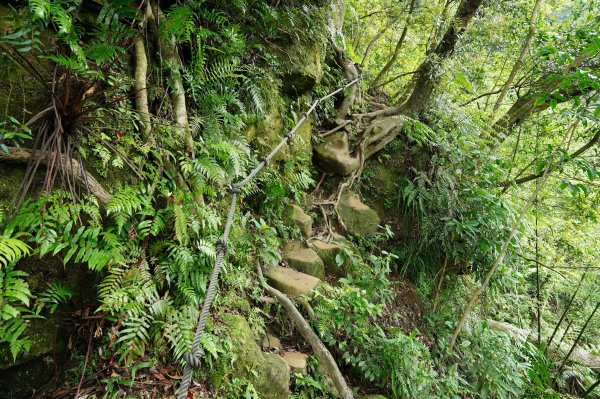 臺北 文山 指南山、猴山岳、魚衡山、大前坑山、猴山坑山、祥光寺後山、金頭山2774967