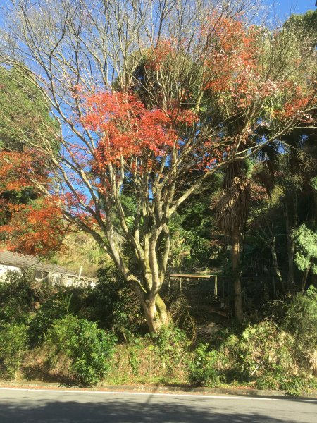 20210116-關刀山1238199