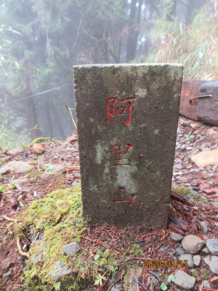 大塔山步道907519