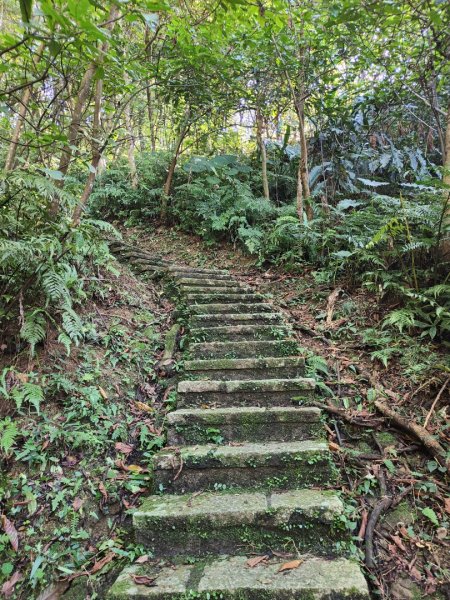 2023.12.08 土庫岳2695280