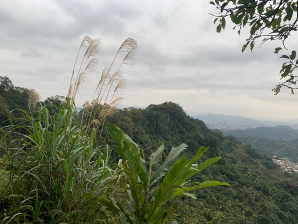 20200129麟光站到中華科大817851