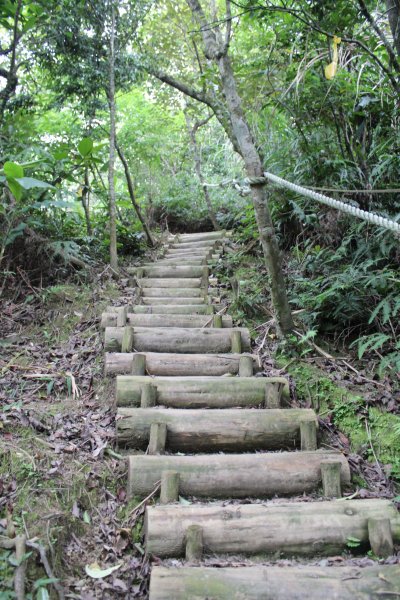 淡蘭中路平湖西步道1002835