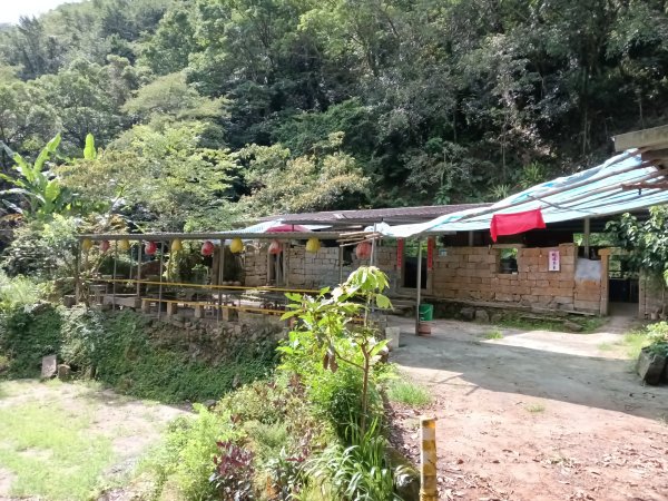 雙溪區大埤古道左線+柑腳山+570峰+大埤格+大埤古道右線O型2828782