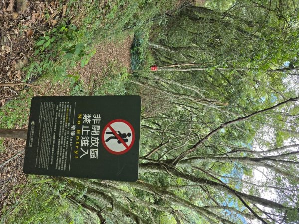 觀高山屋／龍貓公車／八通關山／八通關山西峰2927368