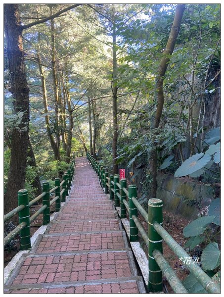 鳳凰谷鳥園步道2695875