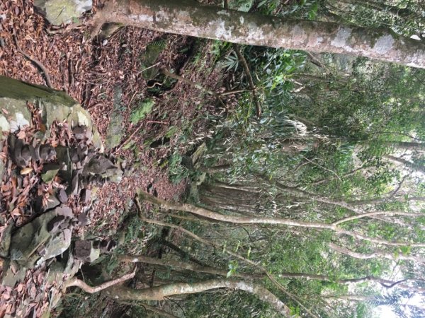 鳥嘴山（上島2708552