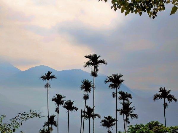 阿拔泉山/觀音石山/紅楠坑山/獨立山 環狀2963279