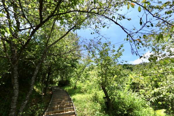 灣潭古道、花岩山林1023013