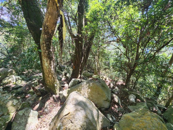 20241013東南稜上東卯山2670999