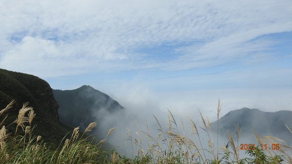 秋高氣爽芒花季 - 陽明山再見雲海1503993