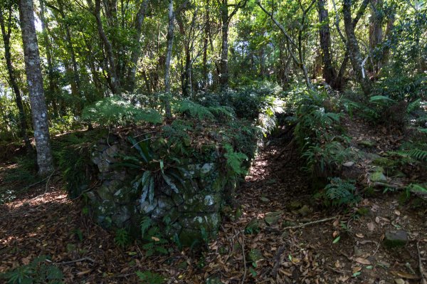 【秀巒-芝生毛台山】砲台遺址1030520