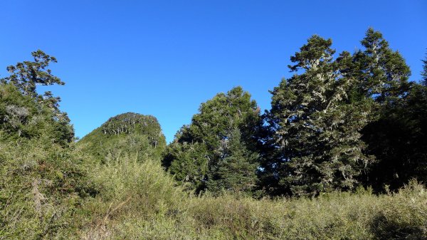 大好天氣的奇萊東稜489036