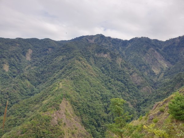 百川山、百川山東峰1552137