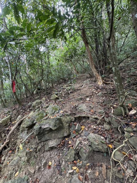 20251108白雲山步道2935192