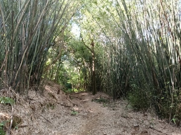 基隆市/萬里區界寮縱走之三界山+三界山西峰+開眼尖山+七分寮山+瑪七產道山泉水接水亭2979536