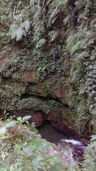 【溫泉步道小旅行】礁溪林美石磐步道842554