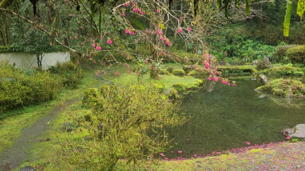 2025-0221 明池步道2718249