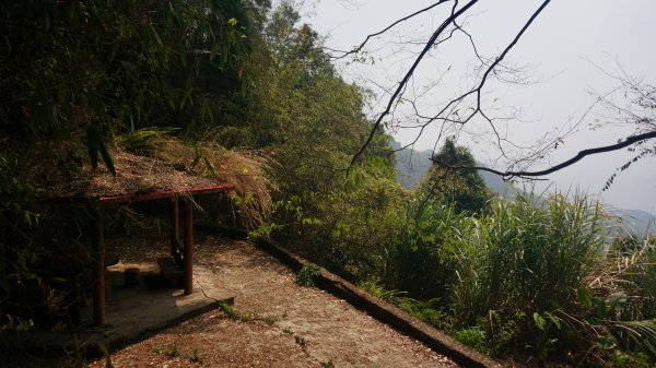 大湖尖山 鳳凰瀑布 紫雲寺1288599